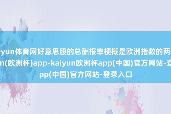 开yun体育网好意思股的总酬报率梗概是欧洲指数的两倍-kaiyun(欧洲杯)app-kaiyun欧洲杯app(中国)官方网站-登录入口